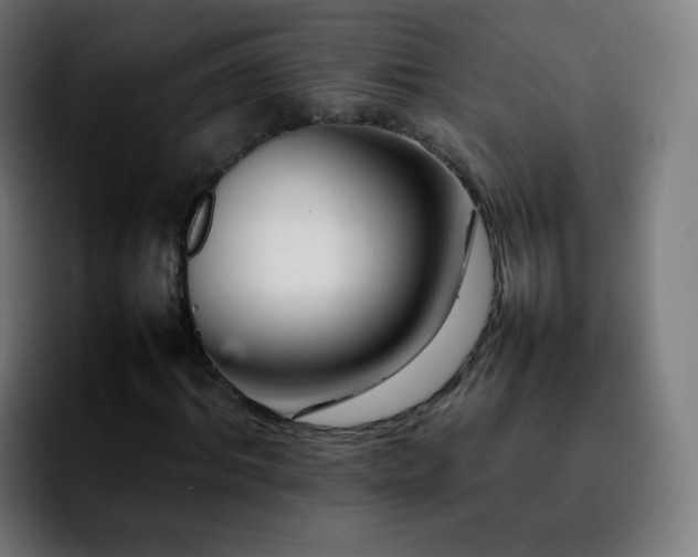 X0000092230964200709211023