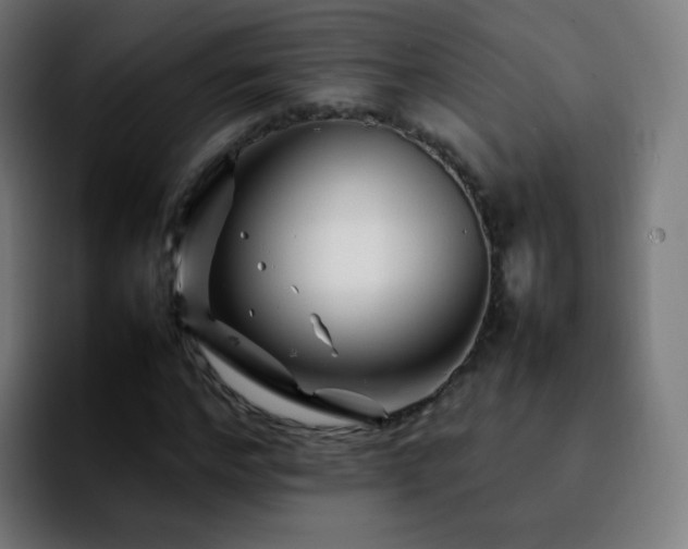 X0000092230968200709211022