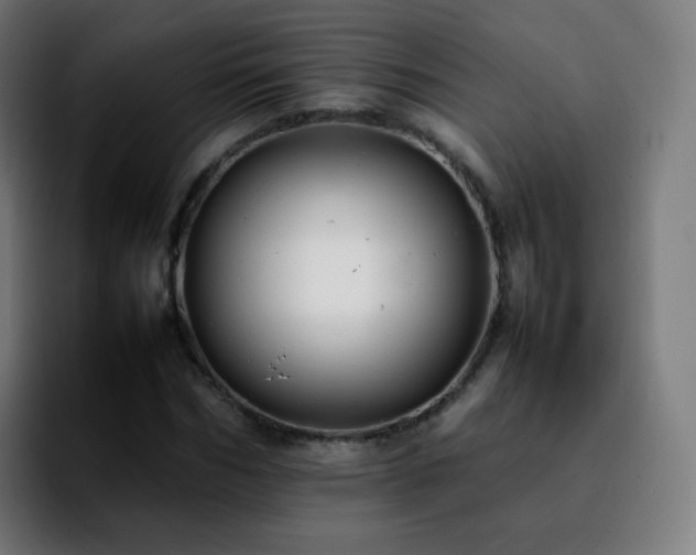 X0000092230970200709211022