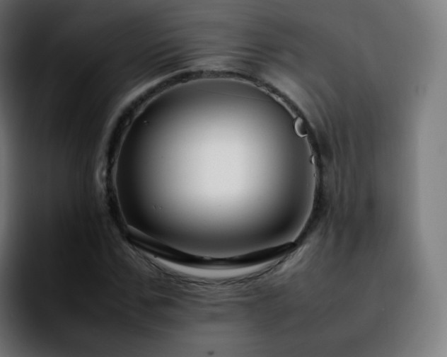 X0000092230971200709211022