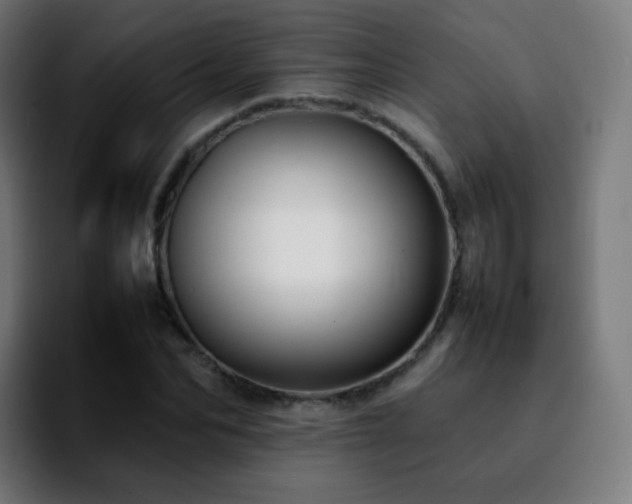 X0000092230974200709211022