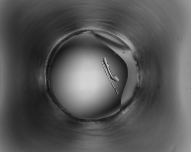 X0000092230980200709211022