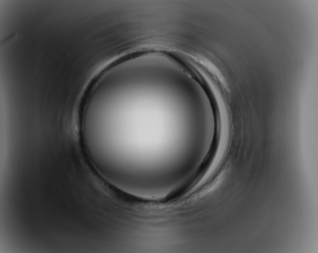 X0000092230981200709211022