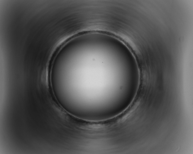 X0000092230982200709211022