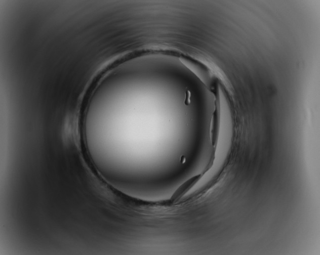 X0000092230984200709211022