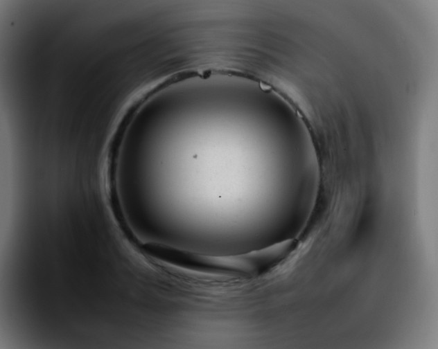 X0000092230987200709211022