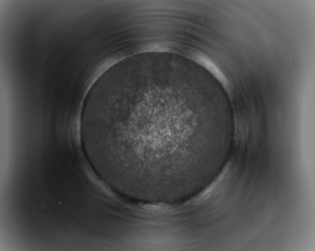 X0000092230994200709211022