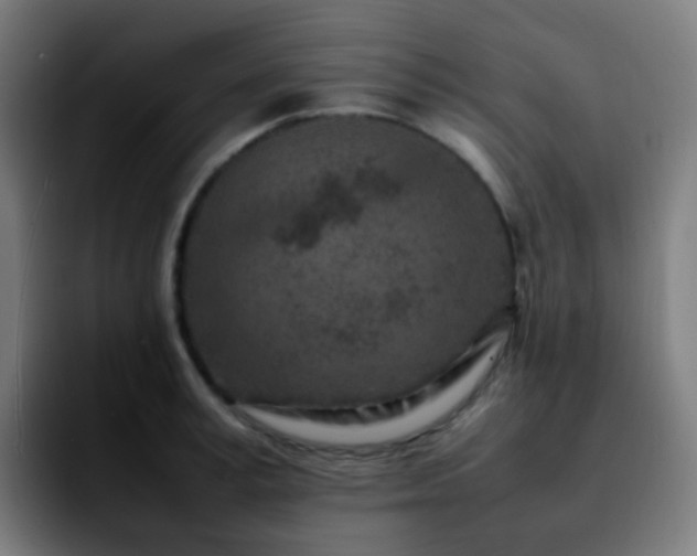 X0000092230995200709211022