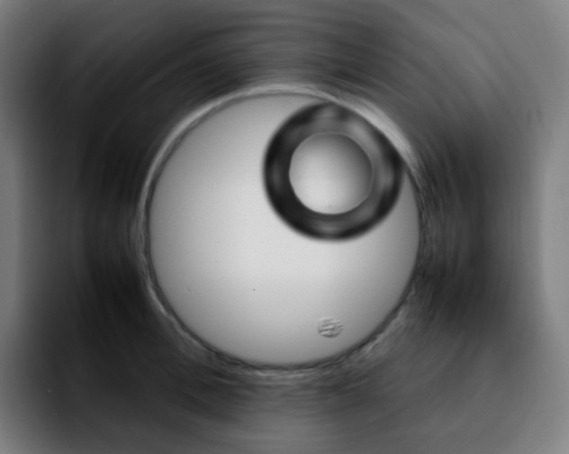 X0000092230996200709211022