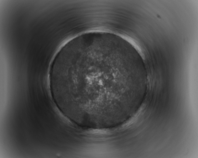X0000092230998200709211022