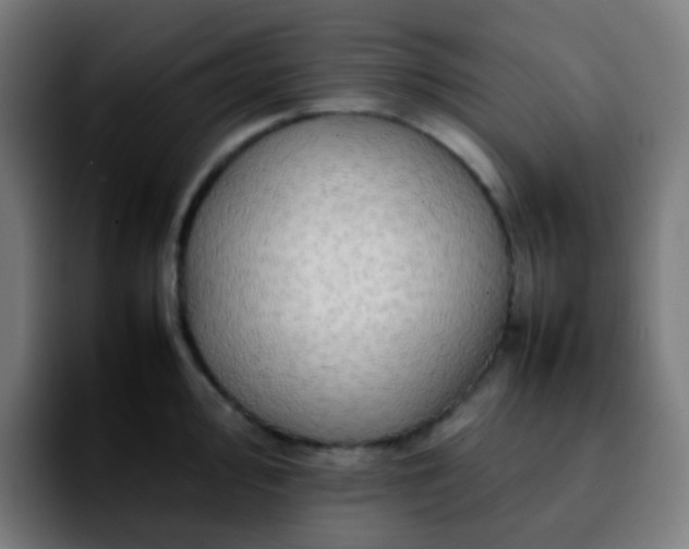 X0000092231000200709211022