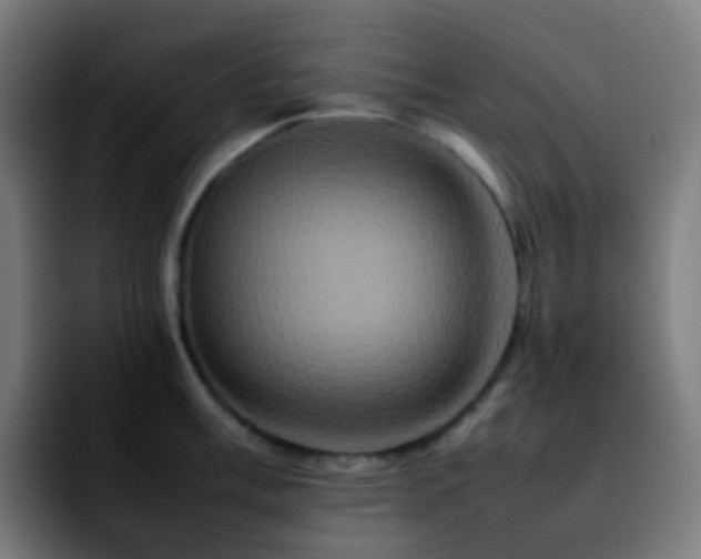 X0000092231003200709211022