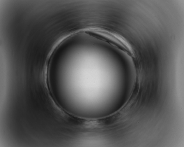 X0000092231006200709211022