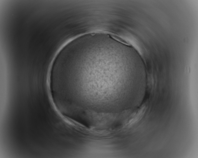 X0000092231007200709211022