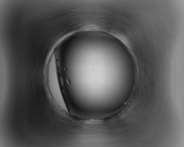 X0000092231008200709211022