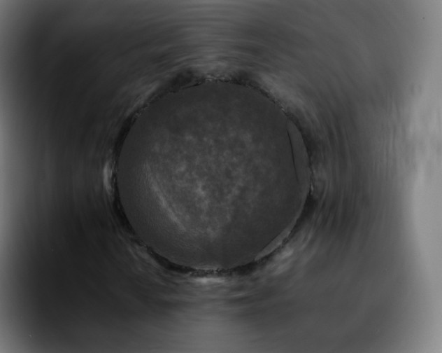 X0000092231010200709211021