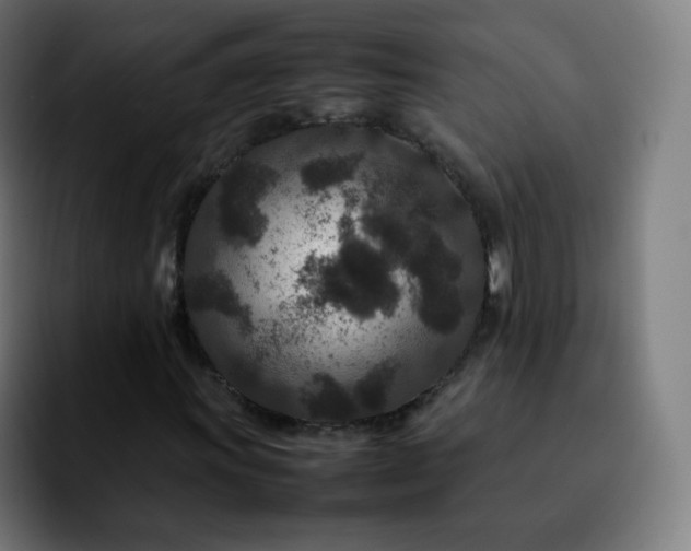 X0000092231011200709211021