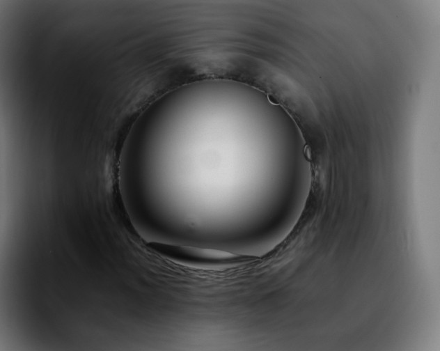 X0000092231012200709211021
