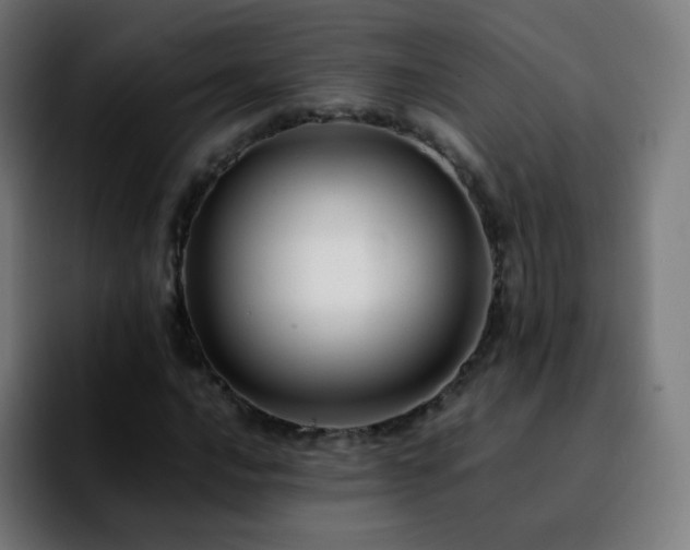 X0000092231016200709211022