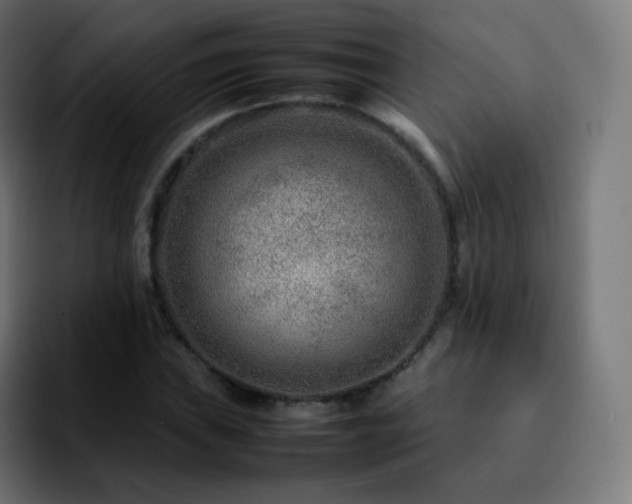 X0000092231019200709211022