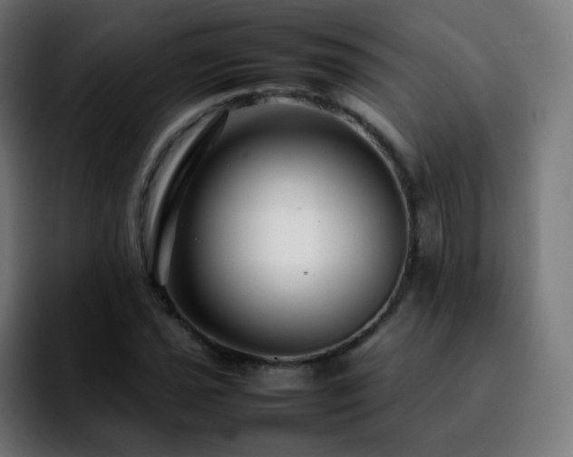 X0000092231021200709211022