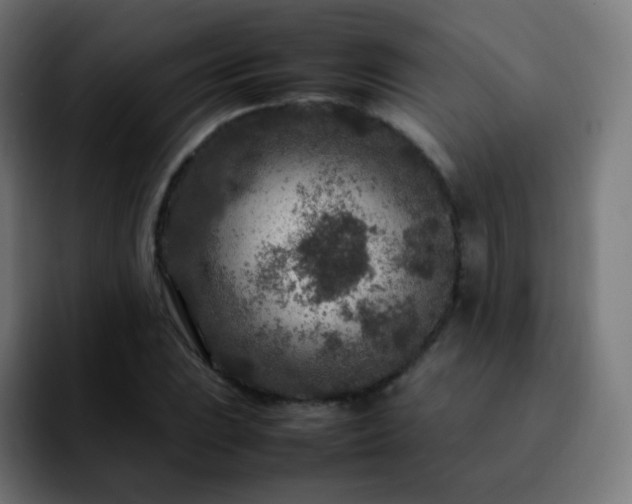 X0000092231023200709211022