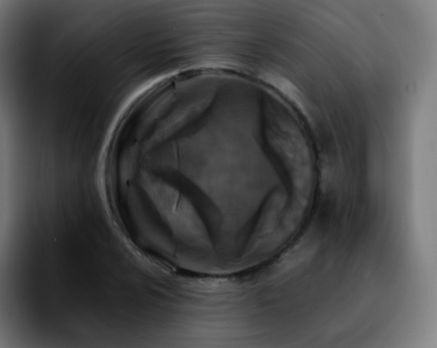 X0000092231024200709211022