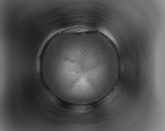 X0000092231027200709211022