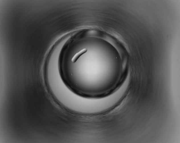 X0000092231030200709211022
