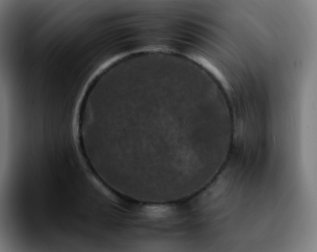 X0000092231037200709211022