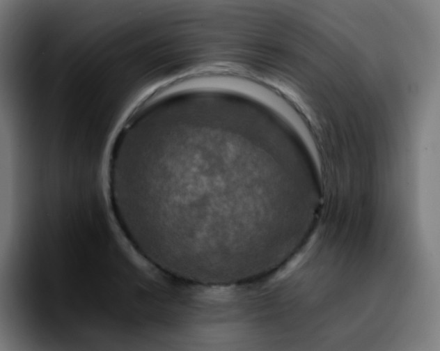 X0000092231038200709211022