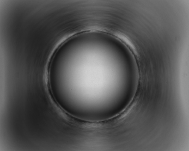 X0000092231040200709211022