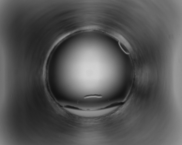 X0000092231044200709211022