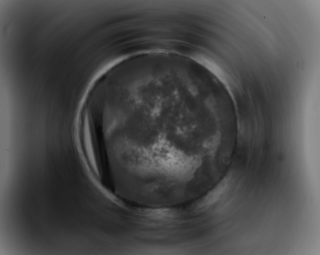X0000092231045200709211022