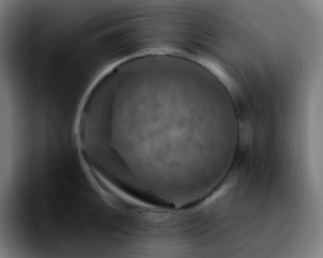 X0000092231046200709211022
