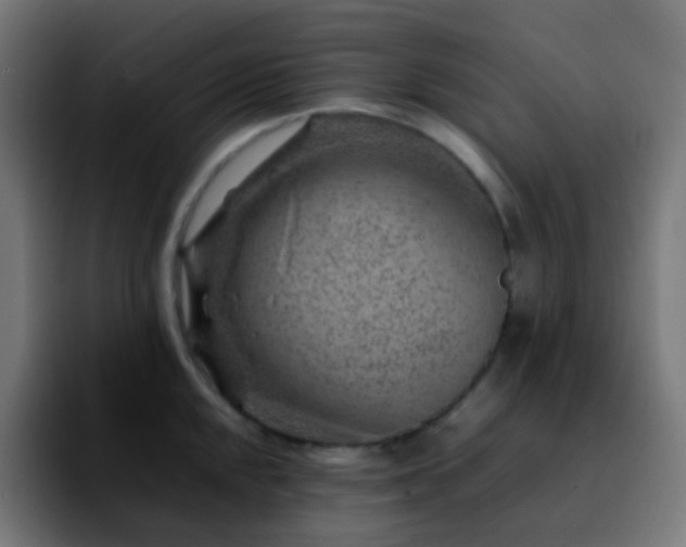 X0000092231048200709211022