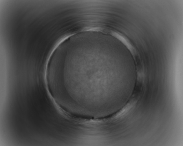 X0000092231050200709211022