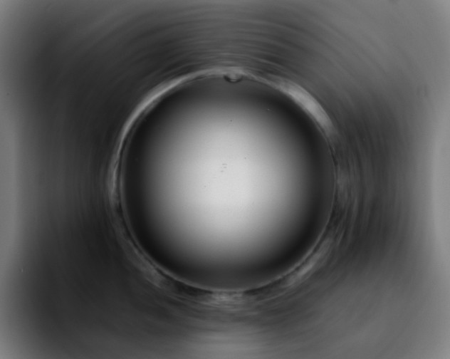 X0000092231052200709211022