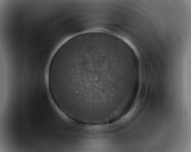 X0000092231054200709211022