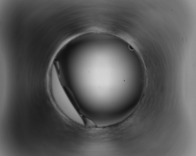 X0000092231056200709211022