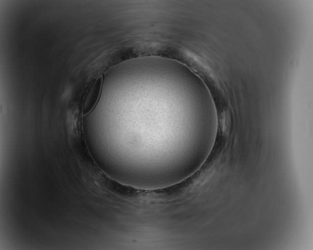 X0000092231059200709211021