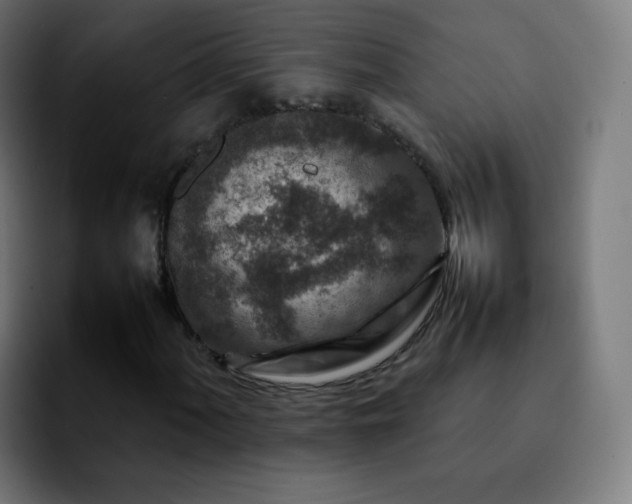 X0000092231060200709211021