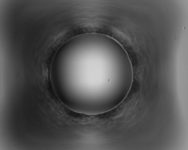 X0000092231061200709211021