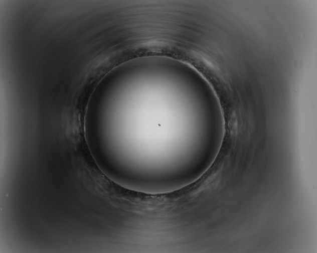 X0000092231062200709211021