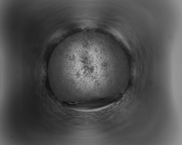X0000092231063200709211021