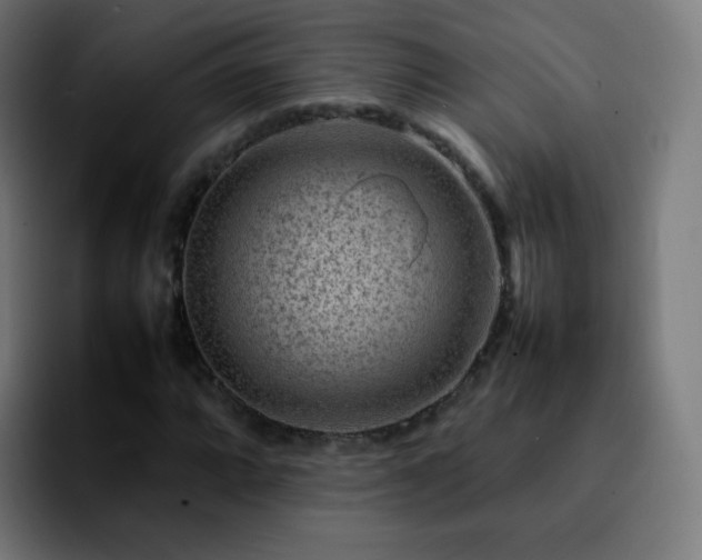 X0000092231064200709211021