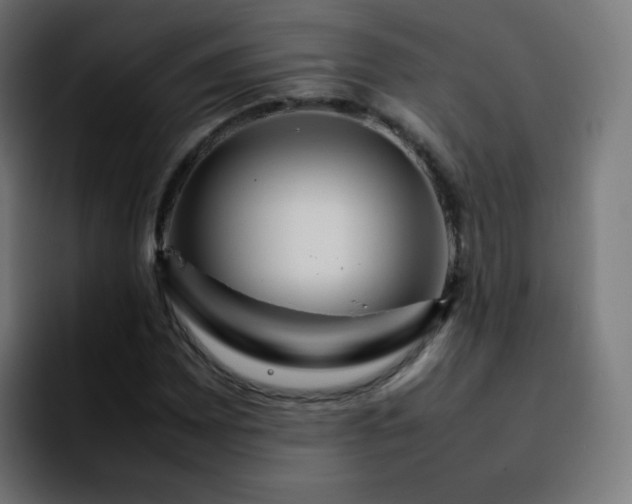 X0000092231065200709211021