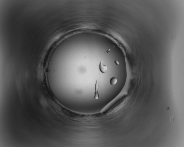 X0000092231067200709211021