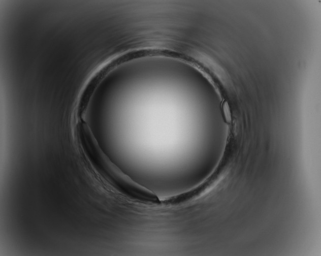 X0000092231069200709211021