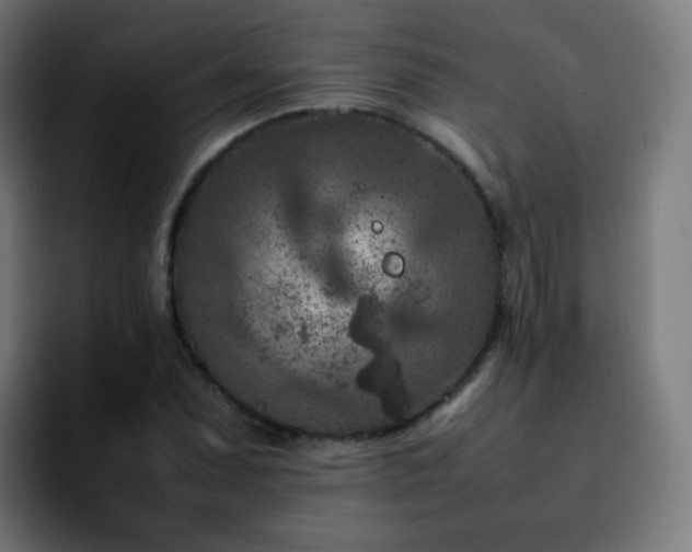 X0000092231071200709211021